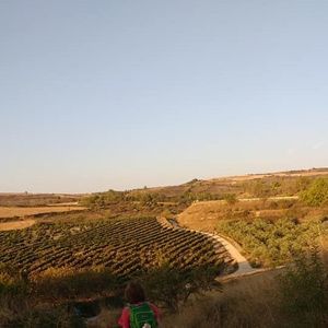 Meet your Posher, Deanne